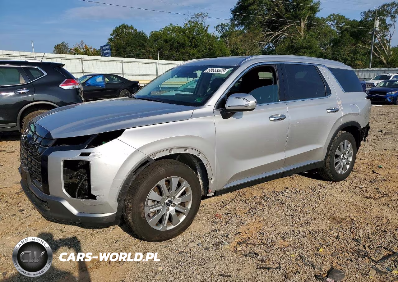2025 Hyundai Palisade Sel VIN:KM8R2DGE8SU859807 - 1