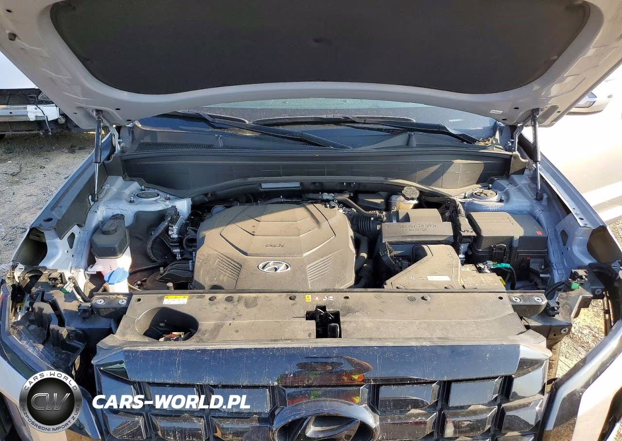 2025 Hyundai Palisade Sel VIN:KM8R2DGE8SU859807 - 12