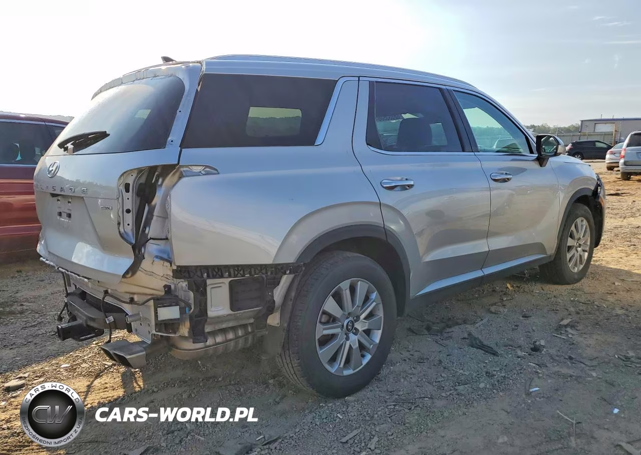 2025 Hyundai Palisade Sel VIN:KM8R2DGE8SU859807 - 3