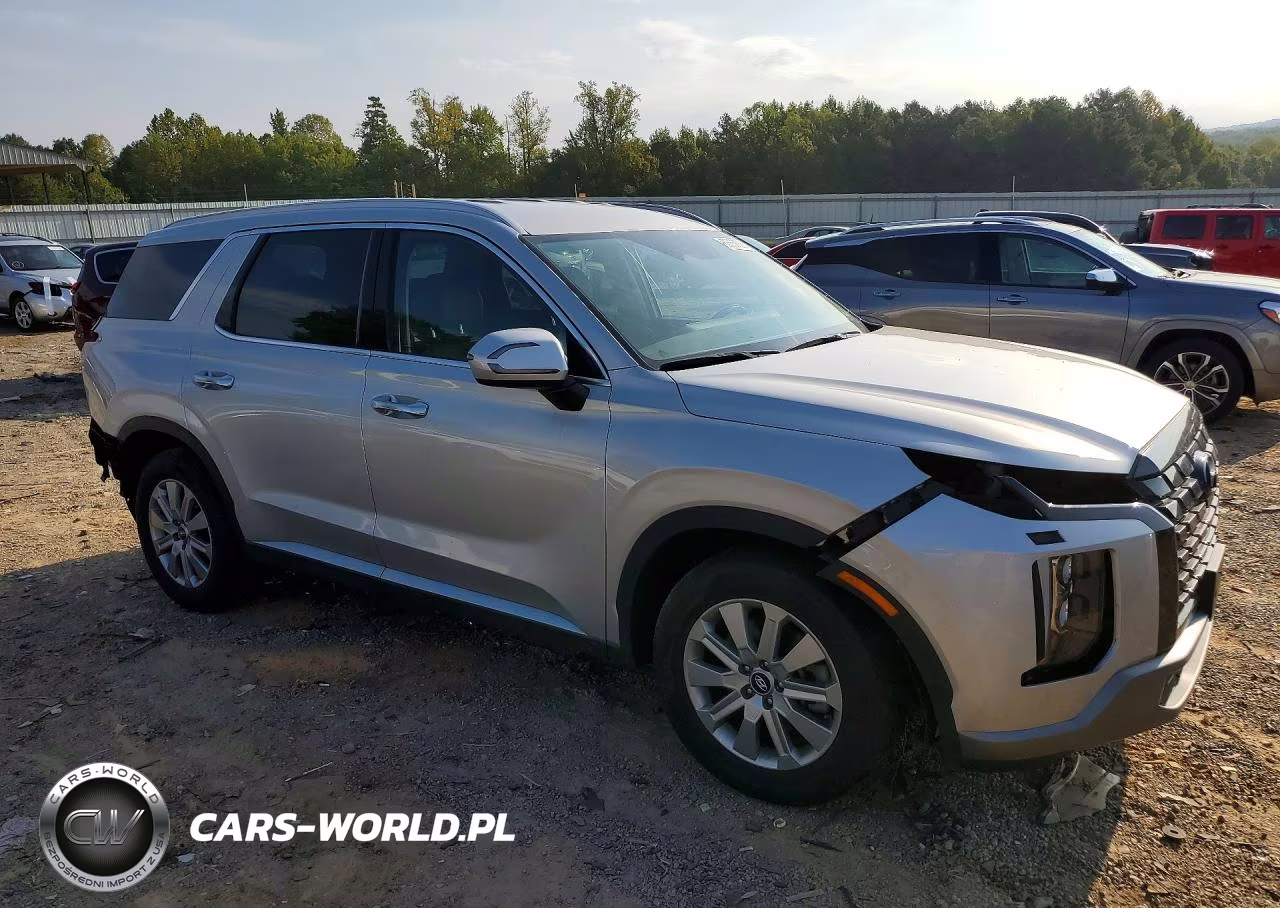 2025 Hyundai Palisade Sel VIN:KM8R2DGE8SU859807 - 4