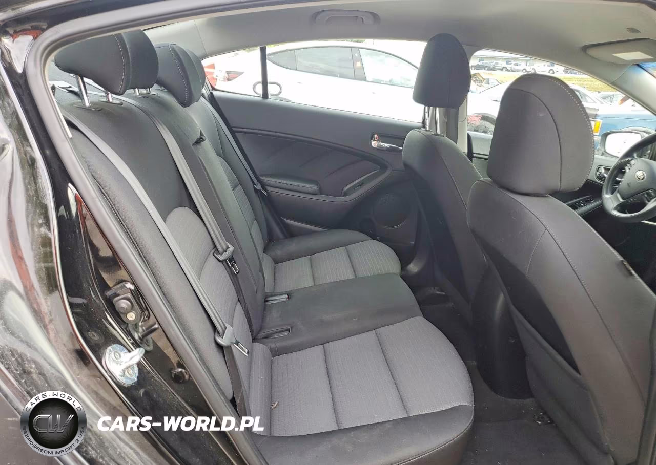 2014 Kia Forte Lx VIN:KNAFX4A65E5081407 - 10