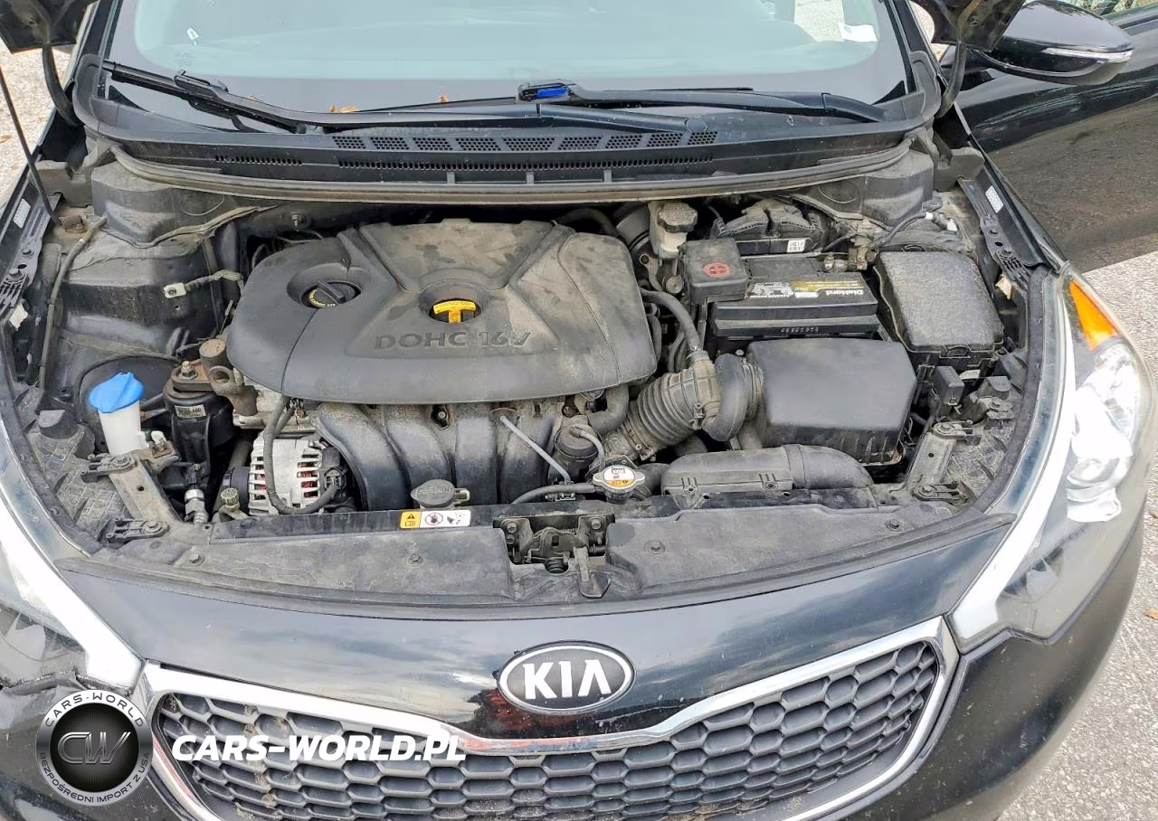 2014 Kia Forte Lx VIN:KNAFX4A65E5081407 - 11