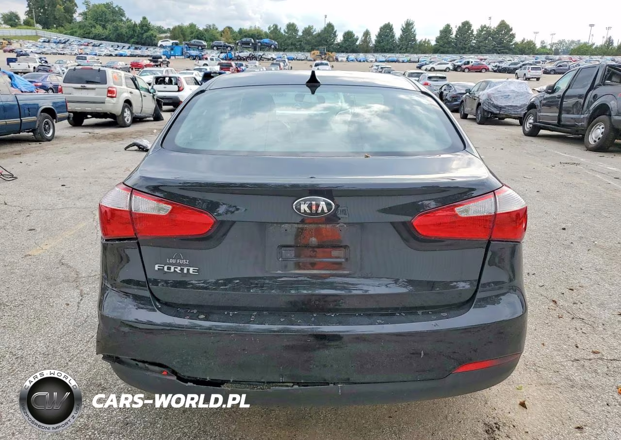 2014 Kia Forte Lx VIN:KNAFX4A65E5081407 - 6