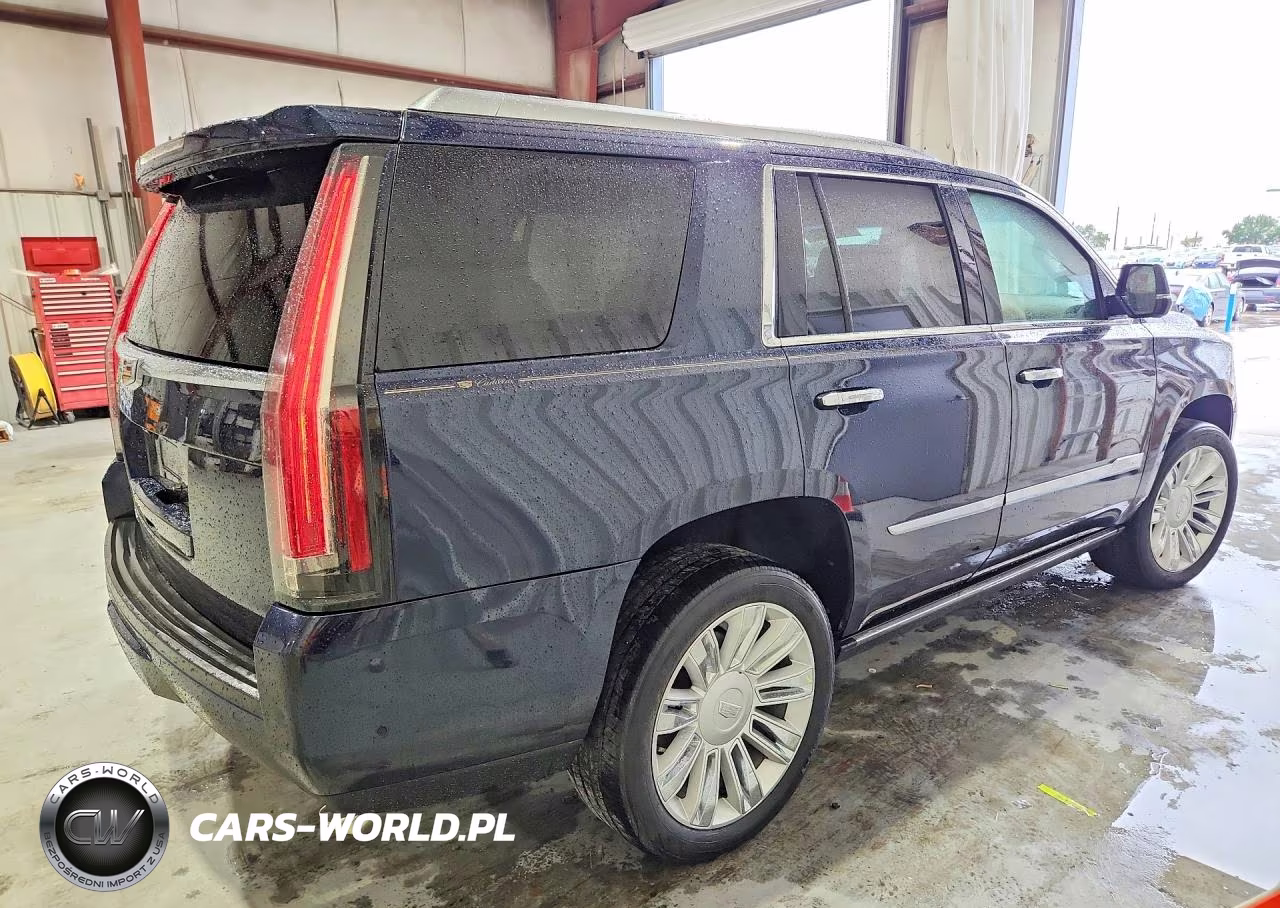 2018 Cadillac Escalade Platinum VIN:1GYS4DKJ7JR319283 - 3