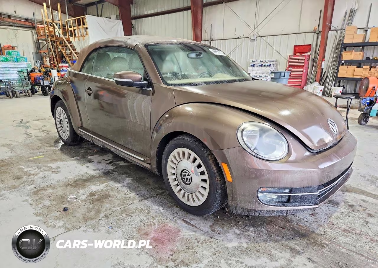 VOLKSWAGEN BEETLE VIN:3VW507AT4EM821689 - 4