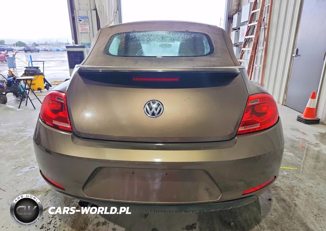 VOLKSWAGEN BEETLE VIN:3VW507AT4EM821689 - 6