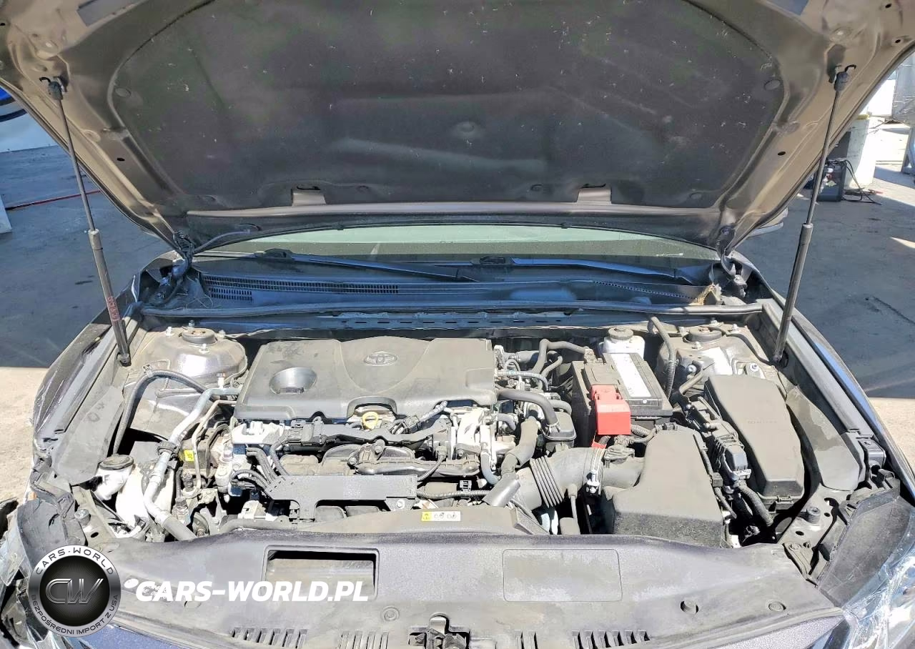 2019 Toyota Camry Le VIN:4T1B11HK1KU812769 - 11