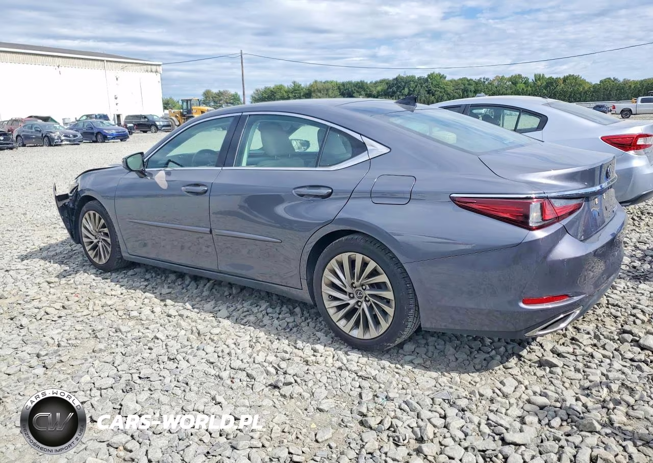 2019 Lexus Es 350 VIN:58ABZ1B15KU006662 - 2
