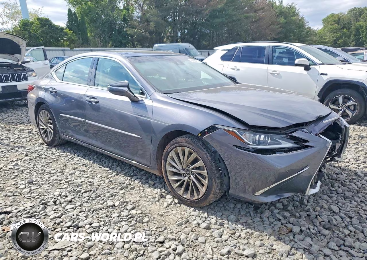 2019 Lexus Es 350 VIN:58ABZ1B15KU006662 - 4