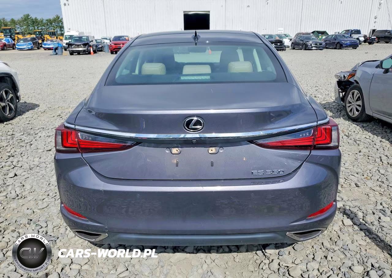 2019 Lexus Es 350 VIN:58ABZ1B15KU006662 - 6