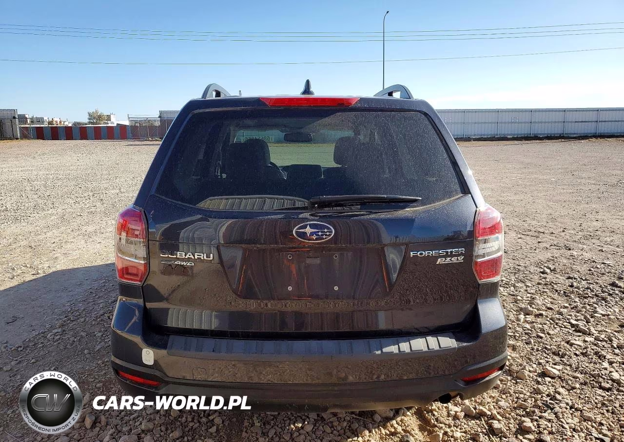 2016 Subaru Forester 2.5I Premium VIN:JF2SJADC5GH481845 - 6