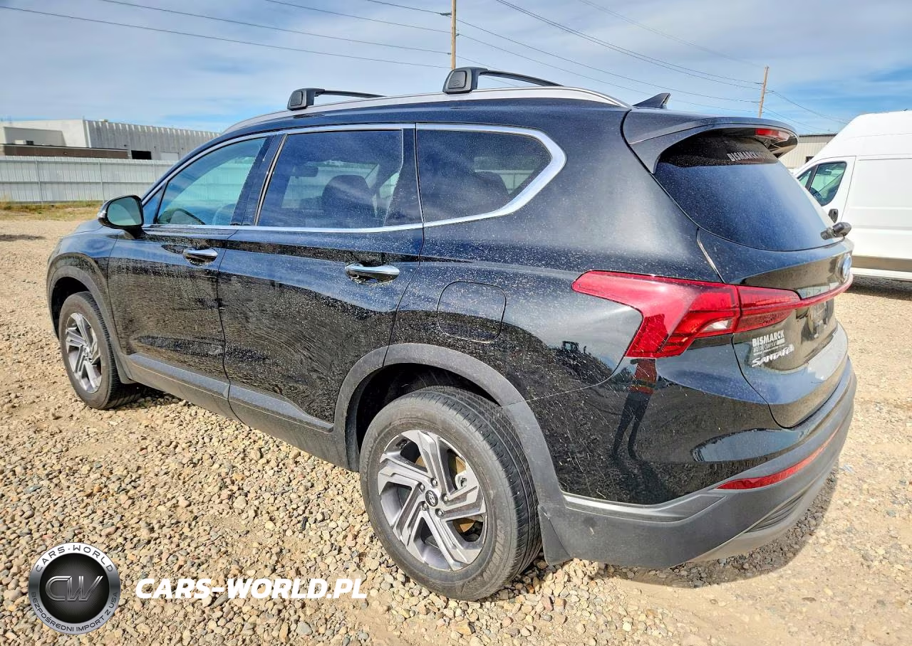 2023 Hyundai Santa Fe Sel VIN:5NMS2DAJ2PH641338 - 2