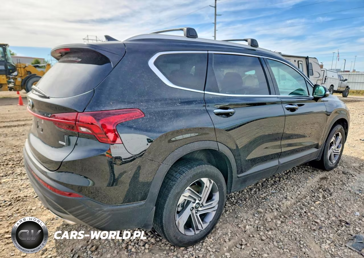 2023 Hyundai Santa Fe Sel VIN:5NMS2DAJ2PH641338 - 3