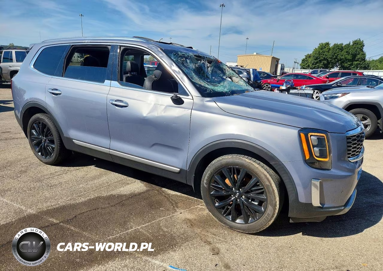 2021 Kia Telluride Sx VIN:5XYP54HC2MG151458 - 4