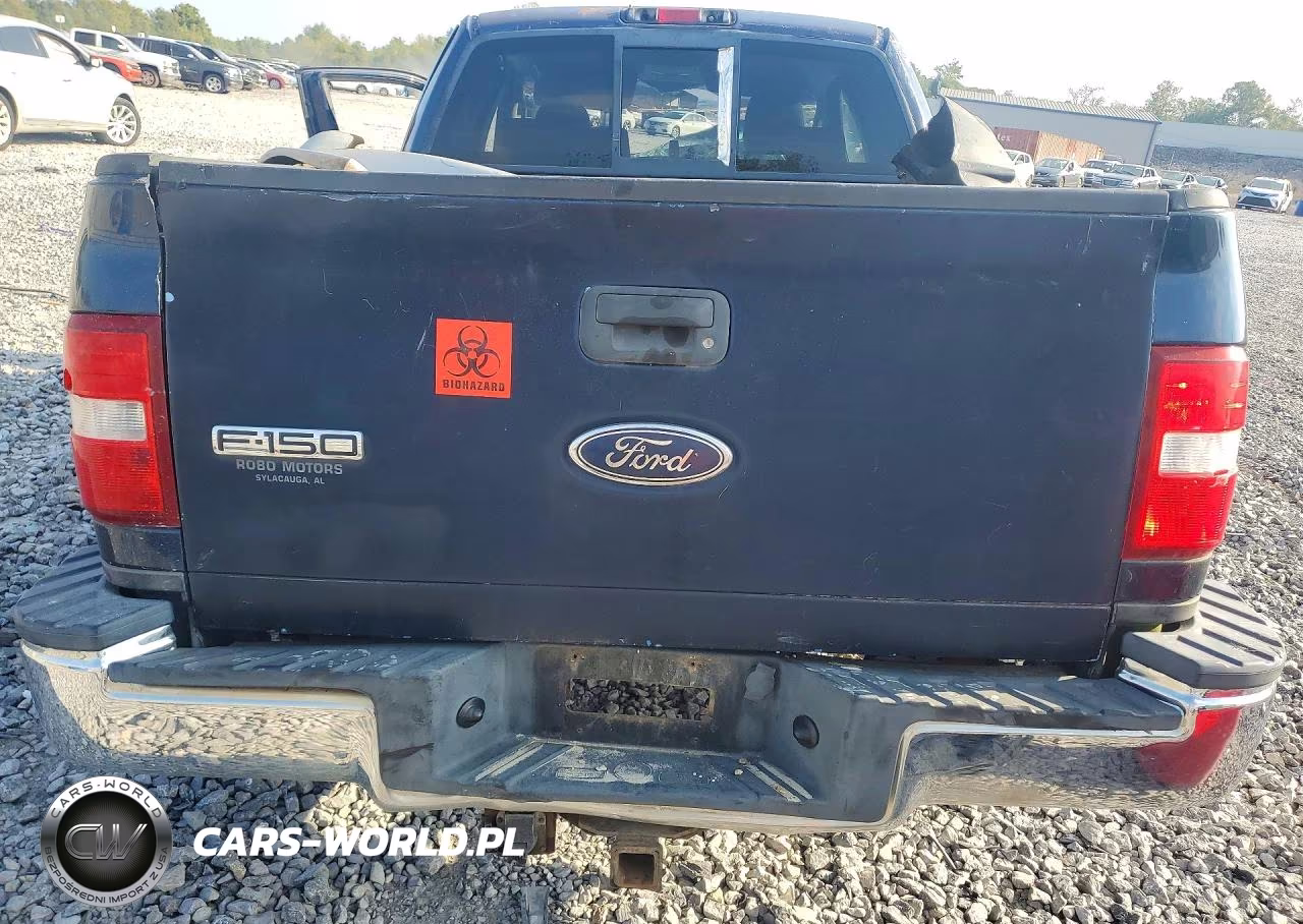 2004 Ford F150 VIN:1FTPX02524KB46560 - 6