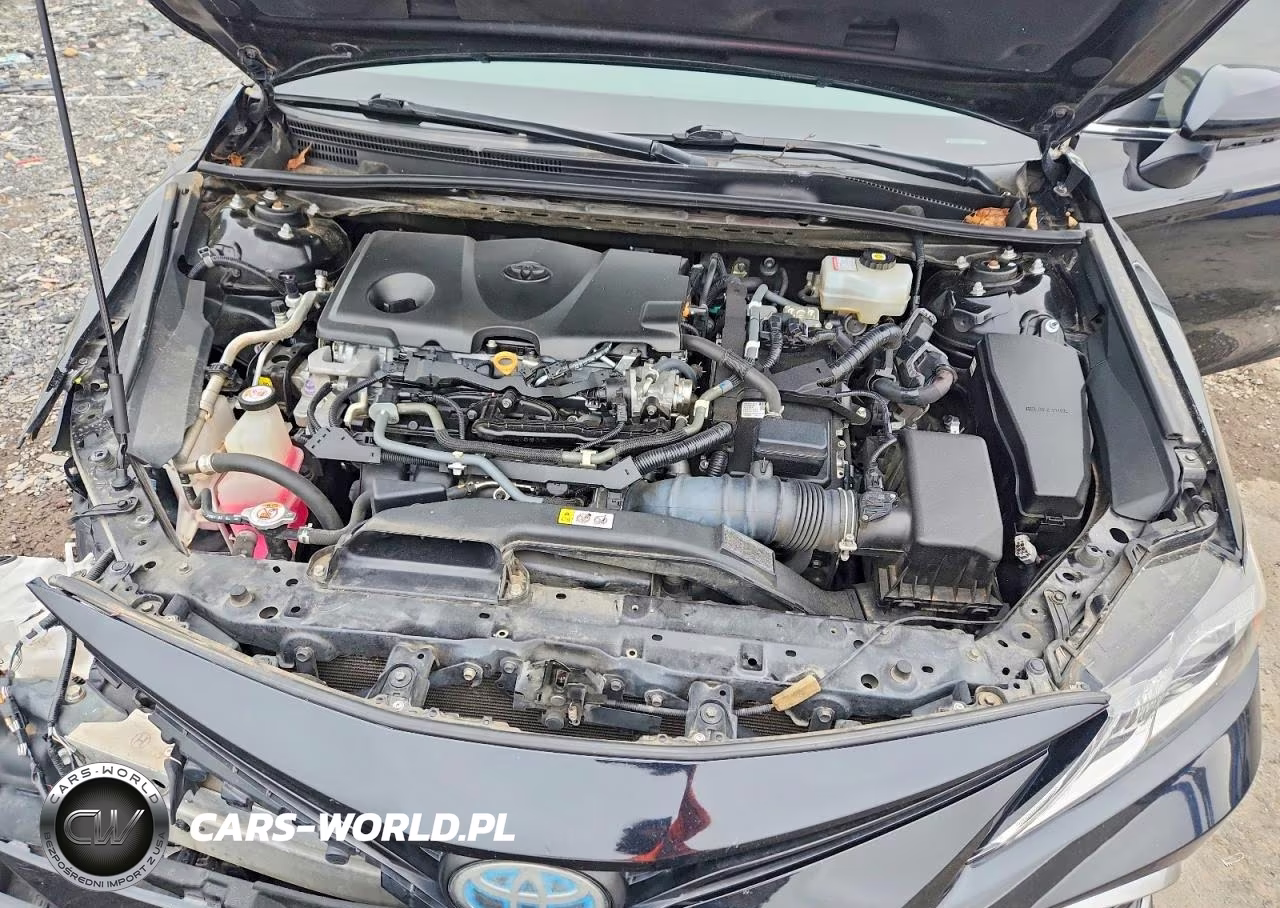 2021 Toyota Camry Le VIN:4T1C31AK6MU021102 - 11