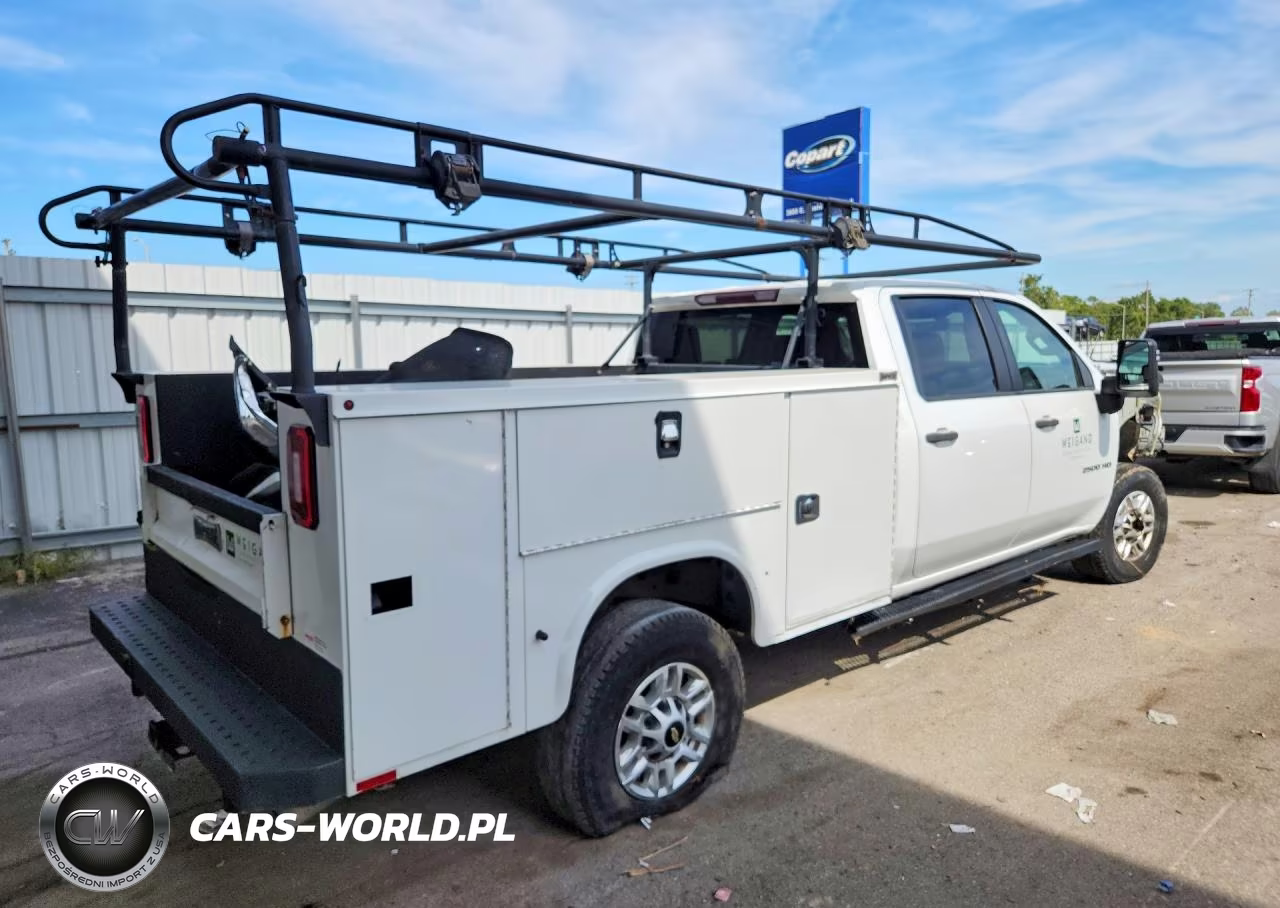 2021 Chevrolet Silverado K2500 Heavy Duty VIN:1GC1YLE78MF296182 - 3
