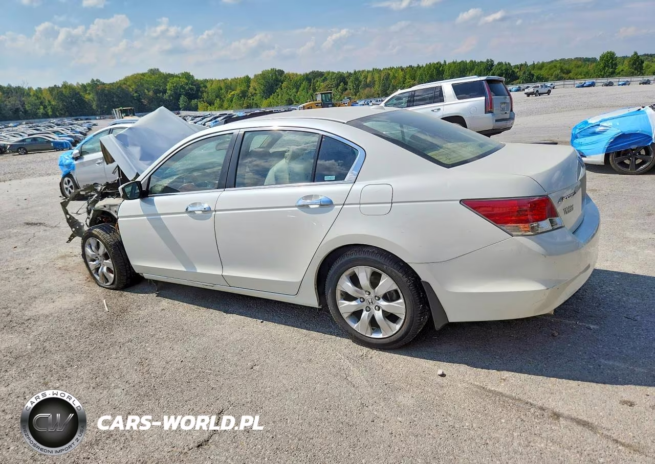 2008 Honda Accord Exl VIN:1HGCP36818A003603 - 2