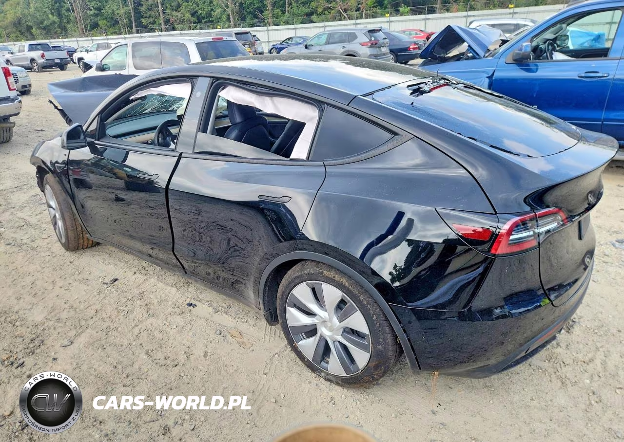 2023 Tesla Model Y VIN:7SAYGDEE7PA082962 - 2