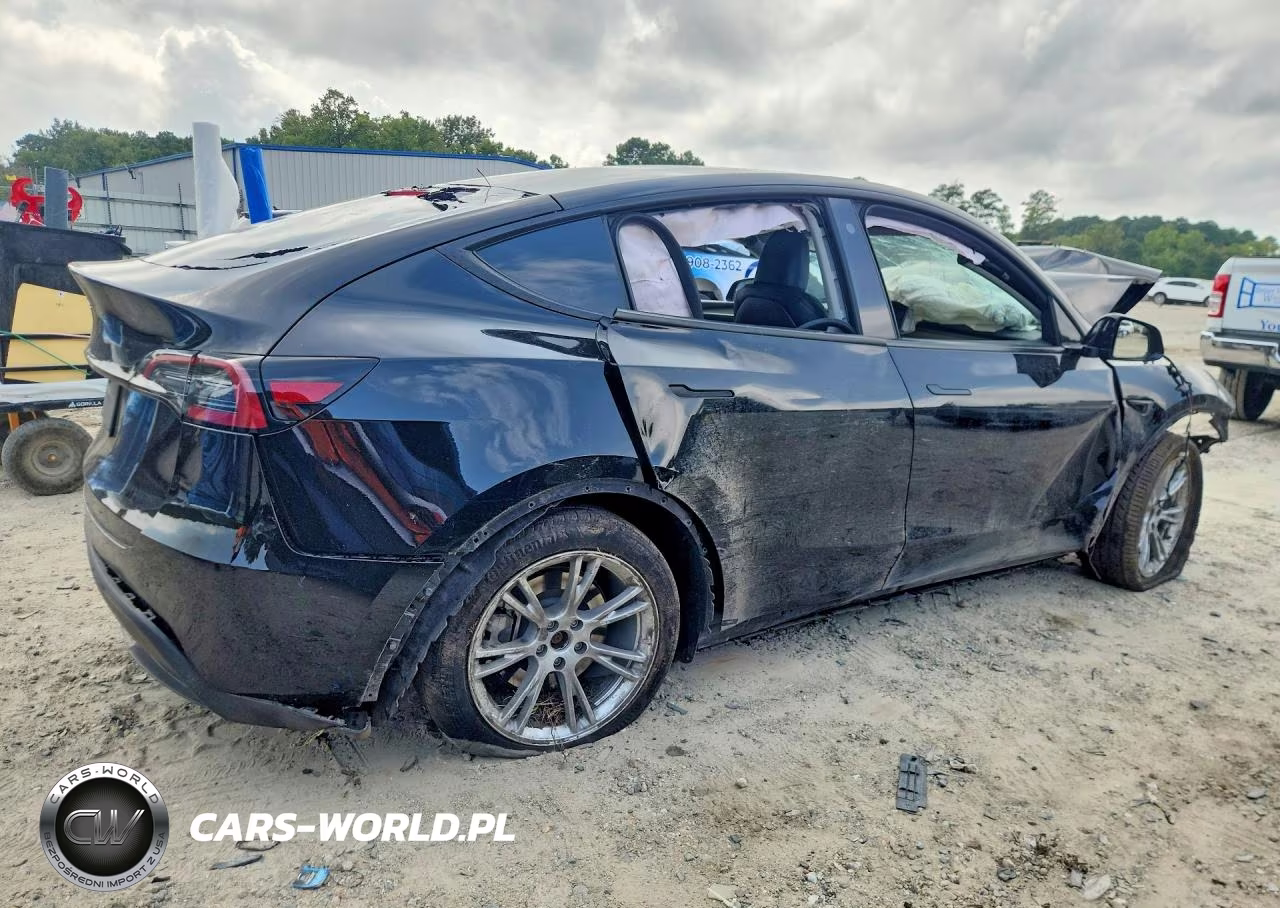 2023 Tesla Model Y VIN:7SAYGDEE7PA082962 - 3