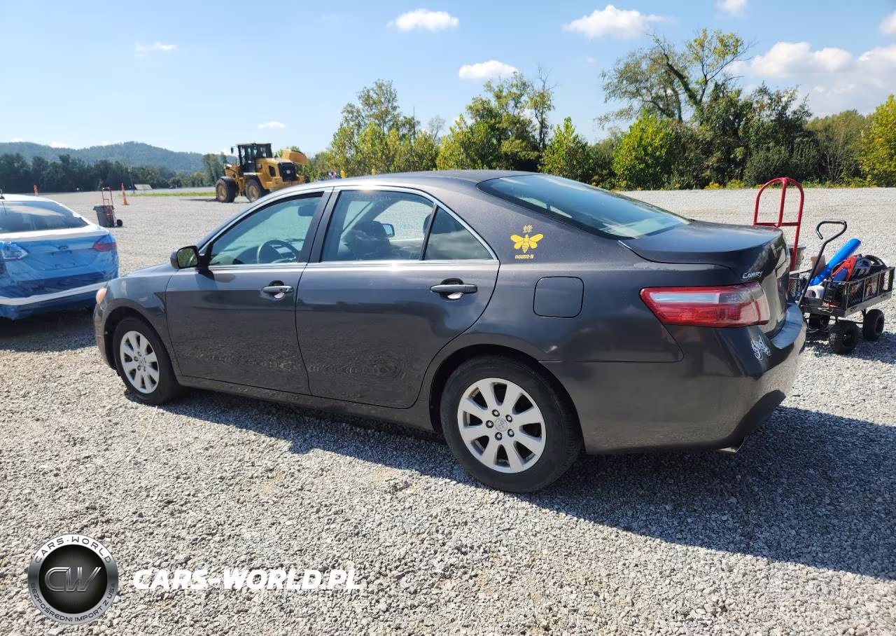 2009 Toyota Camry Xle V6 VIN:4T1BK46K89U081656 - 2