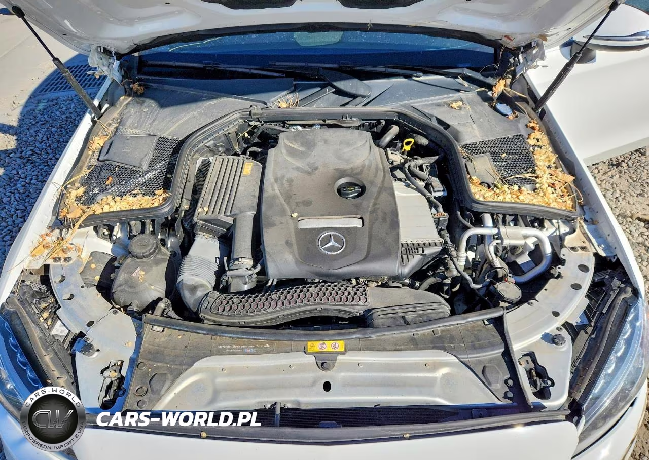 2017 Mercedes-Benz C 300 4Matic VIN:WDDWJ4KB1HF541537 - 11