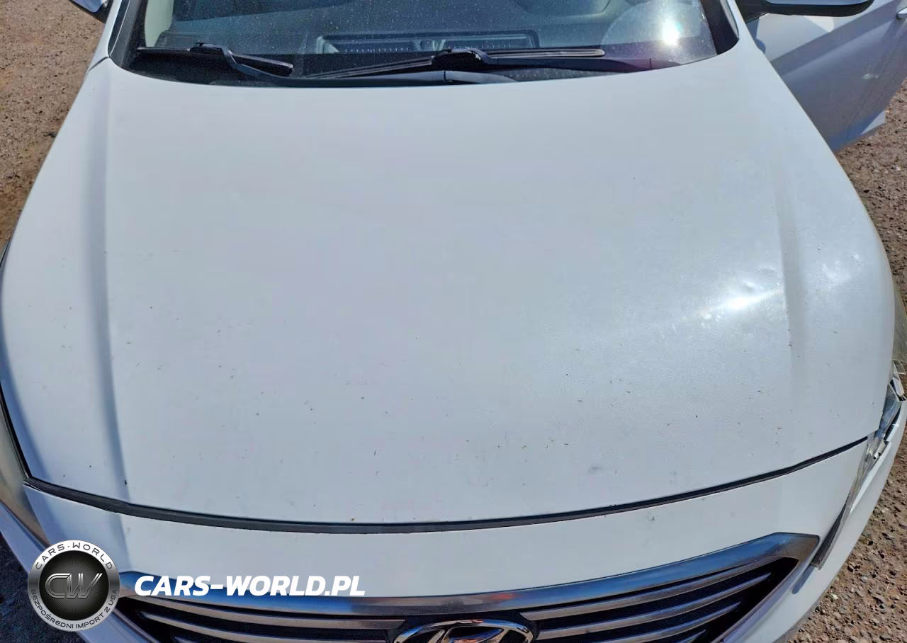 2016 Hyundai Sonata Se VIN:5NPE24AF8GH370989 - 11