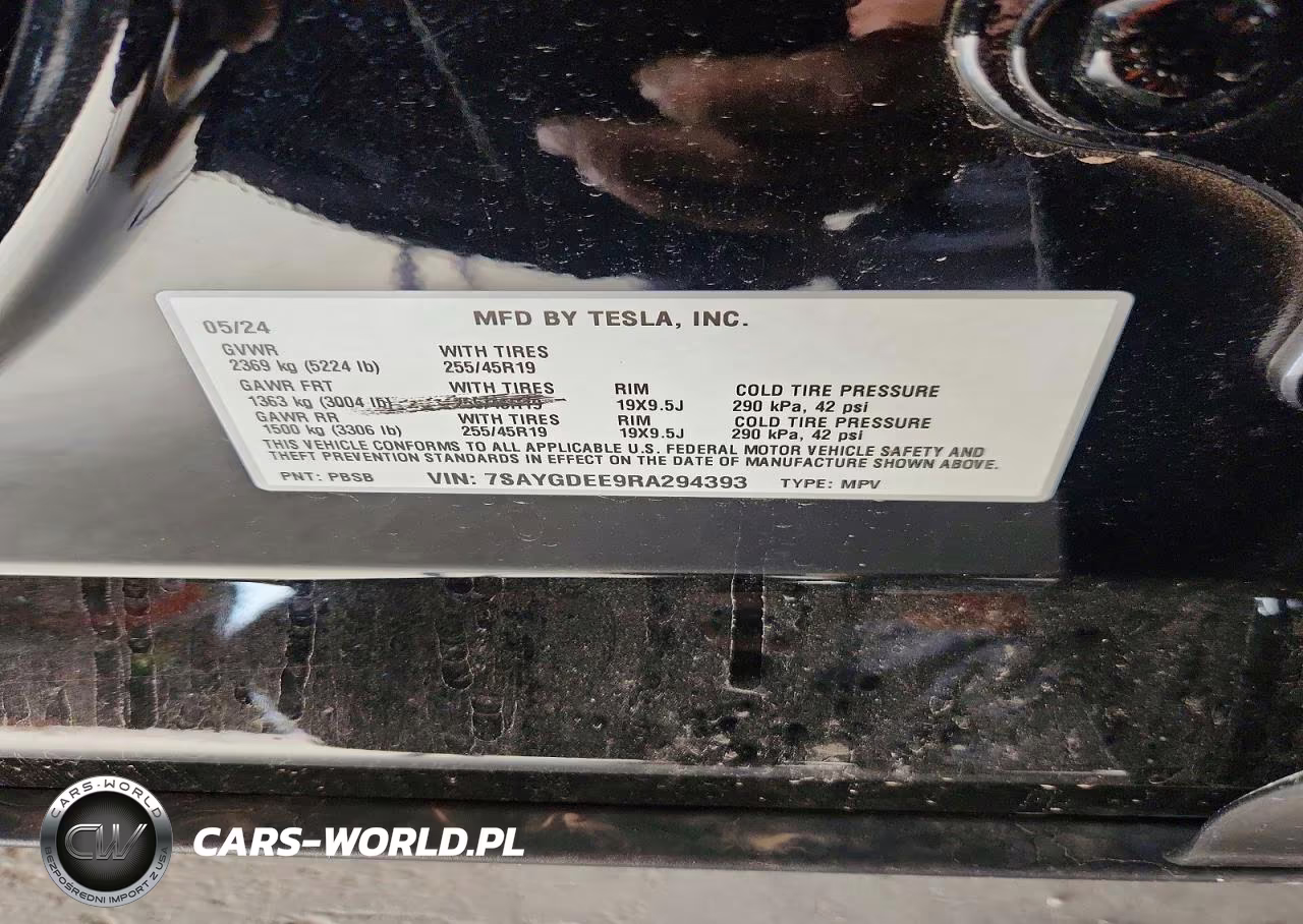 2024 Tesla Model Y VIN:7SAYGDEE9RA294393 - 14