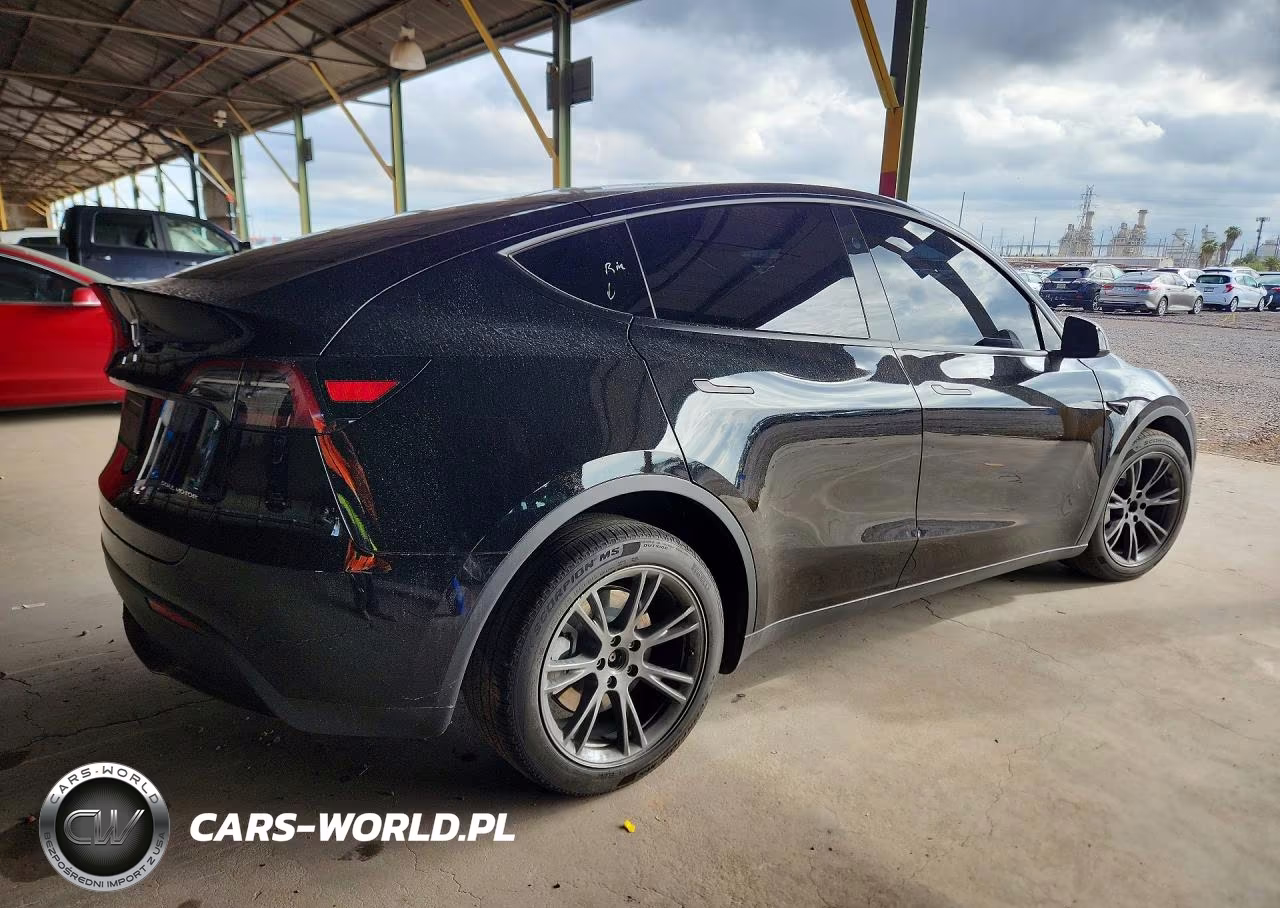 2024 Tesla Model Y VIN:7SAYGDEE9RA294393 - 3