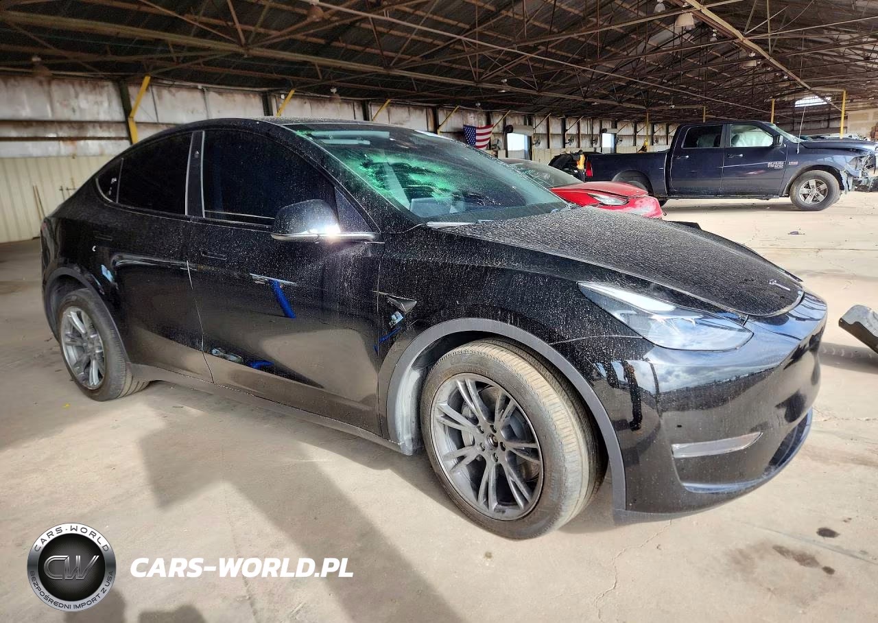 2024 Tesla Model Y VIN:7SAYGDEE9RA294393 - 4