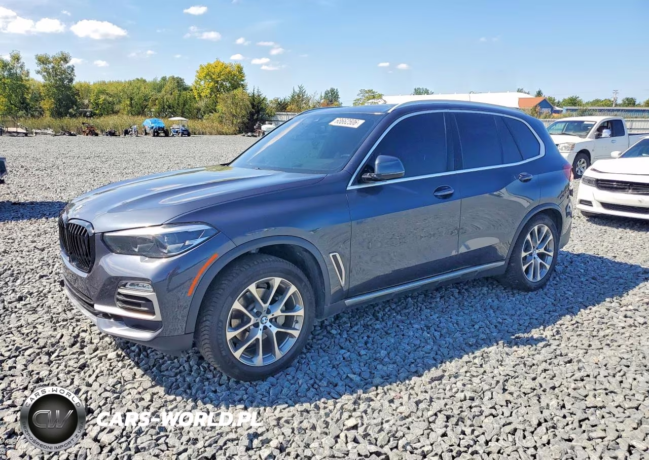 2019 BMW X5 VIN:5UXCR6C52KLL05691 - 1