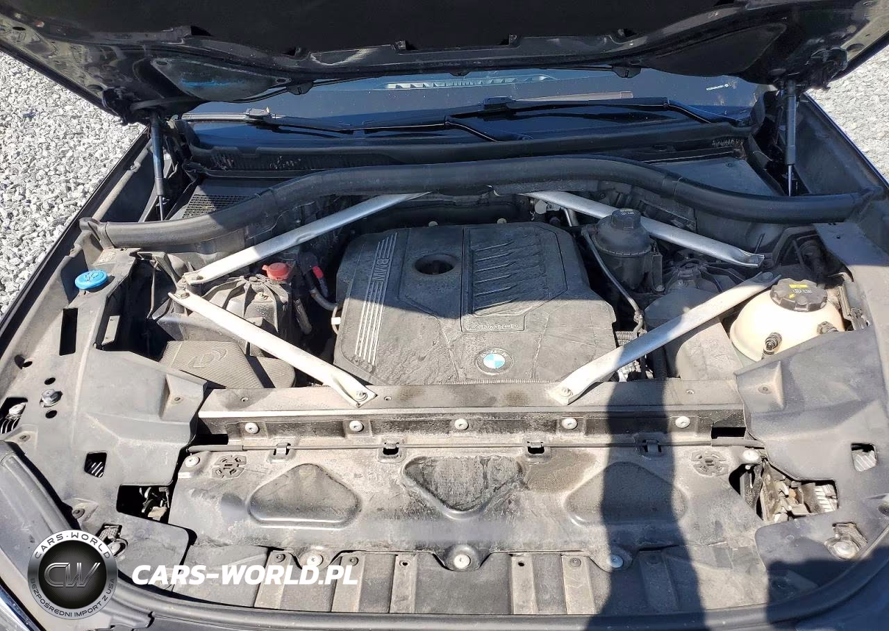 2019 BMW X5 VIN:5UXCR6C52KLL05691 - 12