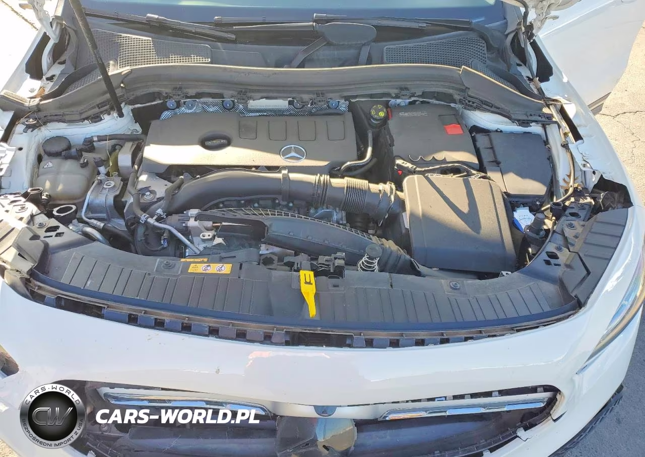2021 Mercedes-Benz Gla 250 4Matic VIN:W1N4N4HB4MJ206561 - 11