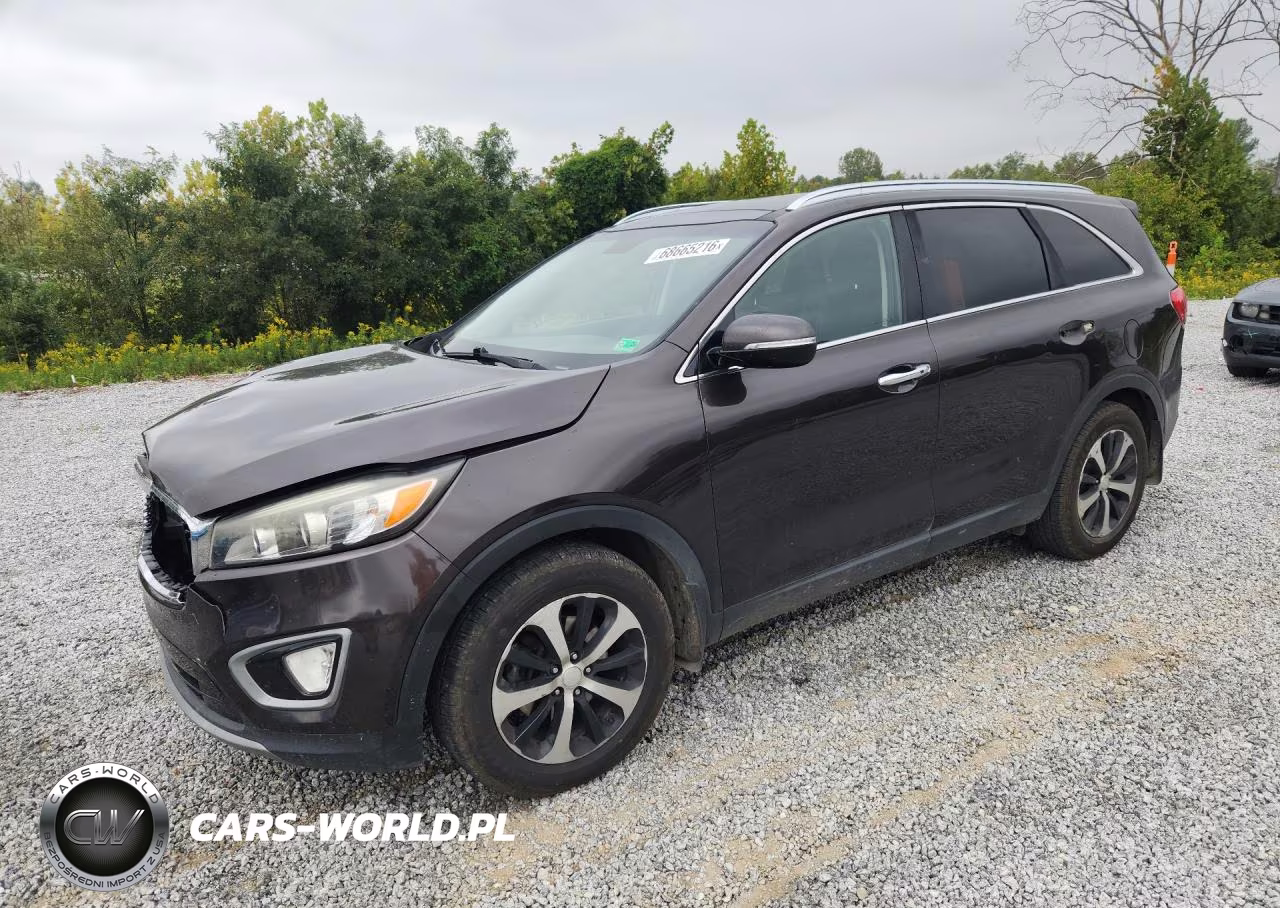 2016 Kia Sorento Ex VIN:5XYPH4A55GG050129 - 1