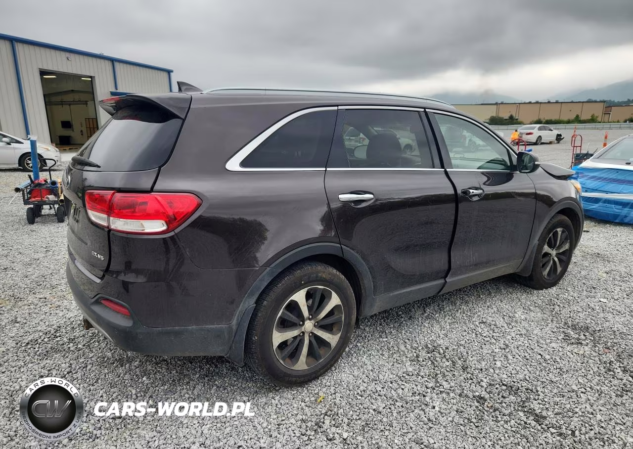2016 Kia Sorento Ex VIN:5XYPH4A55GG050129 - 3