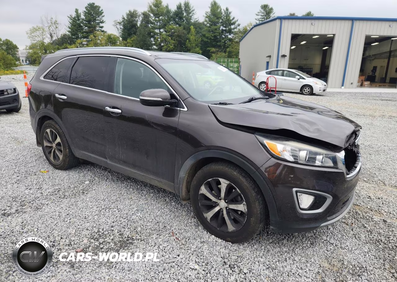 2016 Kia Sorento Ex VIN:5XYPH4A55GG050129 - 4
