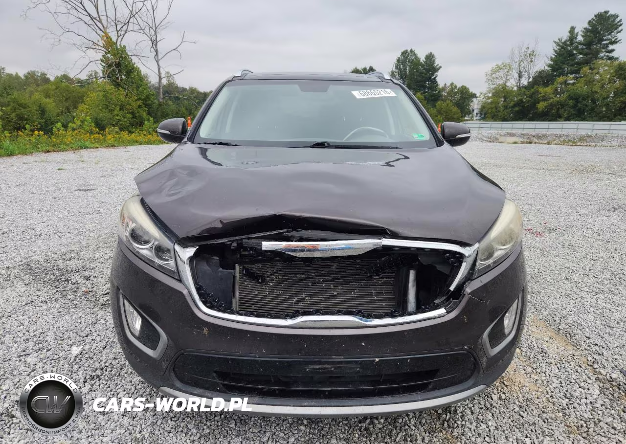 2016 Kia Sorento Ex VIN:5XYPH4A55GG050129 - 5