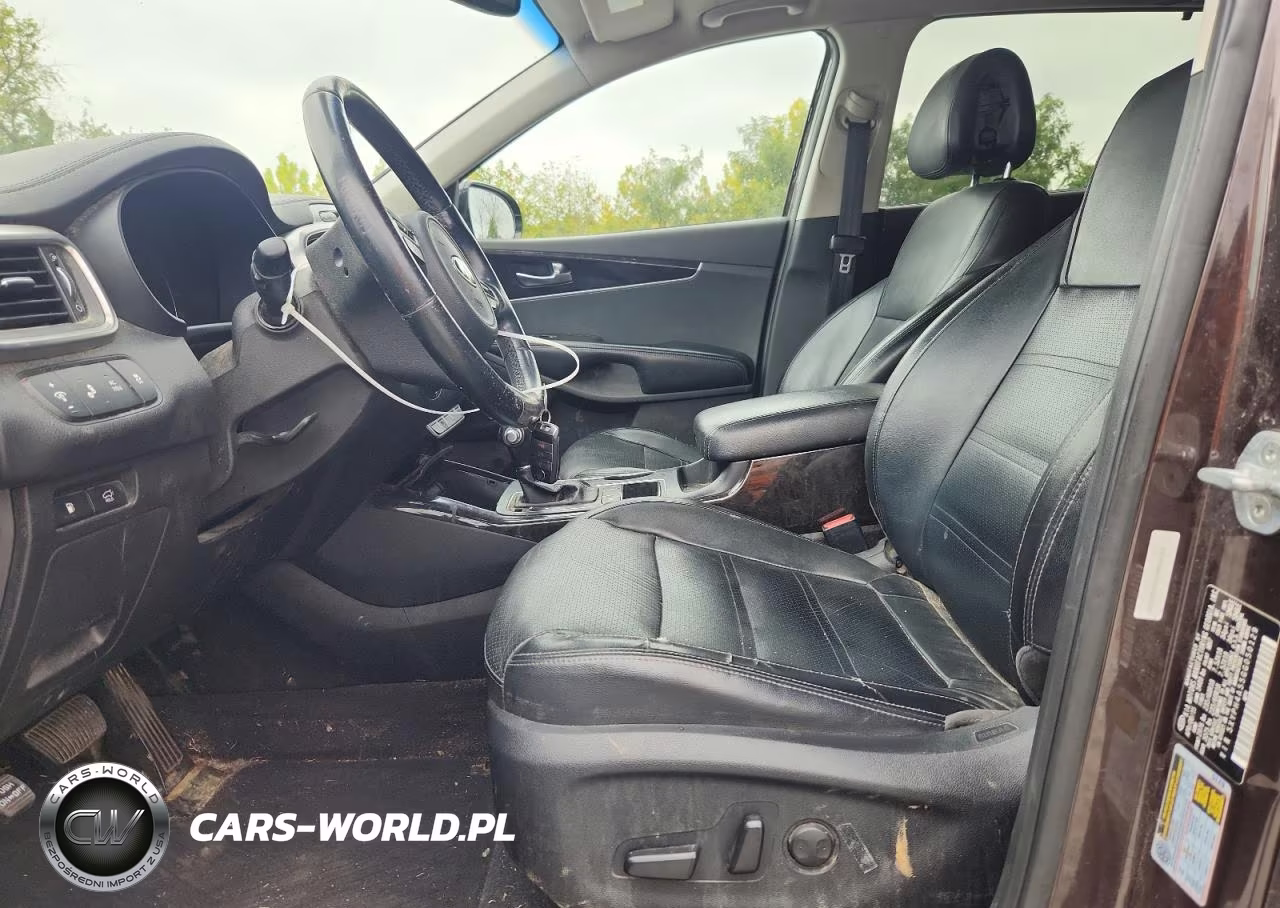 2016 Kia Sorento Ex VIN:5XYPH4A55GG050129 - 7