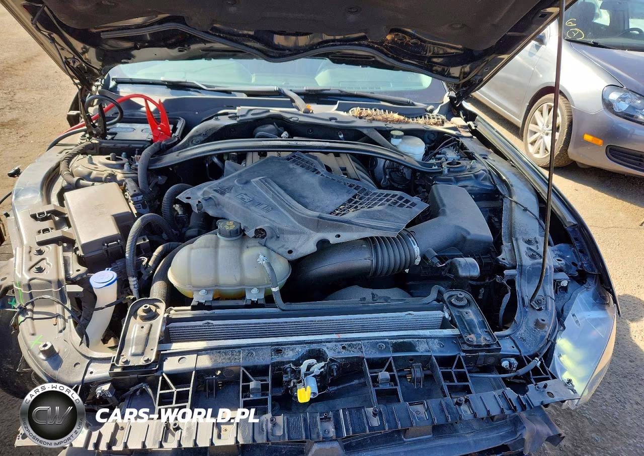 2020 Ford Mustang VIN:1FA6P8TDXL5145112 - 11