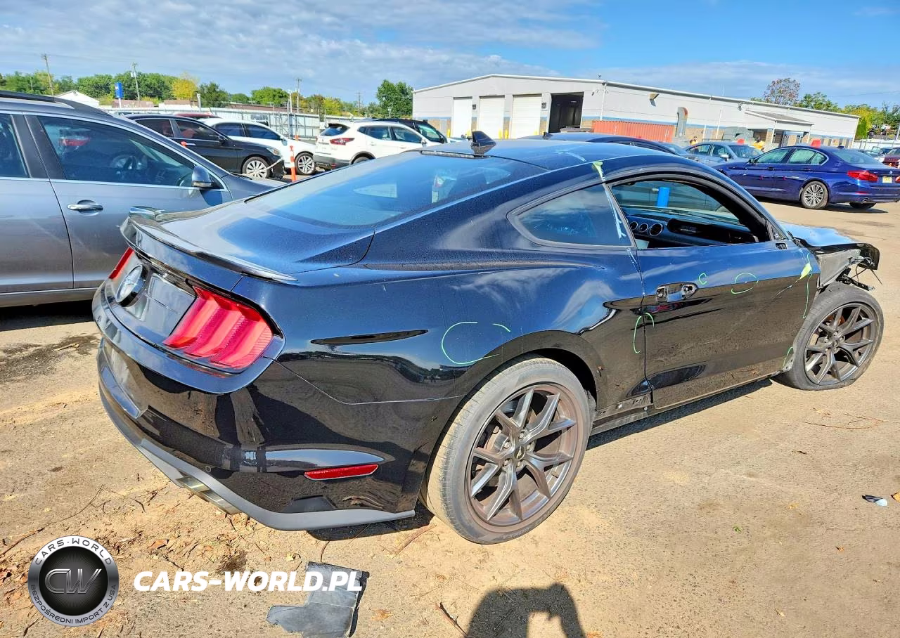 2020 Ford Mustang VIN:1FA6P8TDXL5145112 - 3