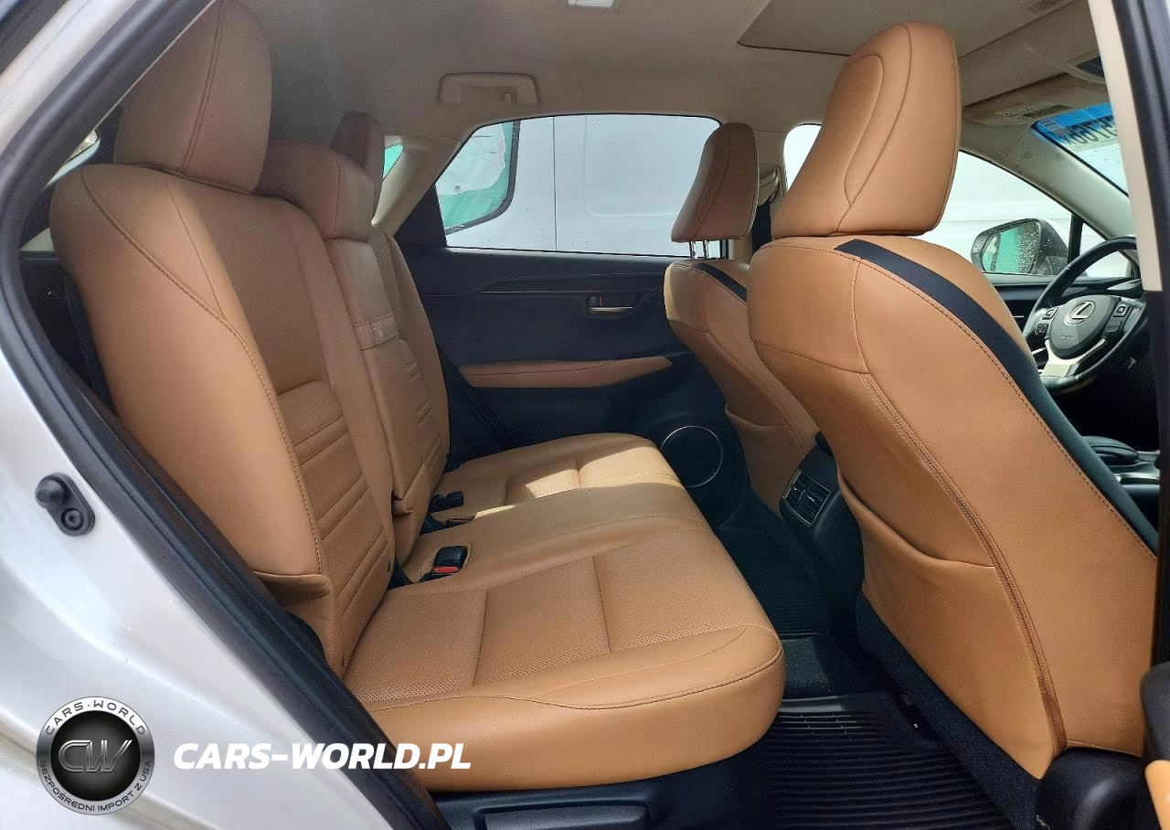 2016 Lexus Nx 200T VIN:JTJBARBZ6G2064822 - 10