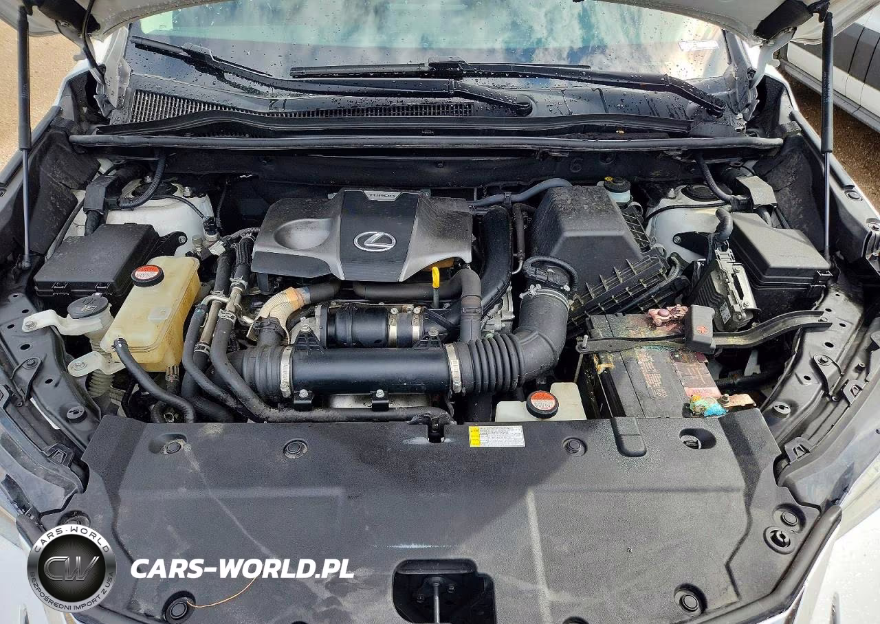2016 Lexus Nx 200T VIN:JTJBARBZ6G2064822 - 11