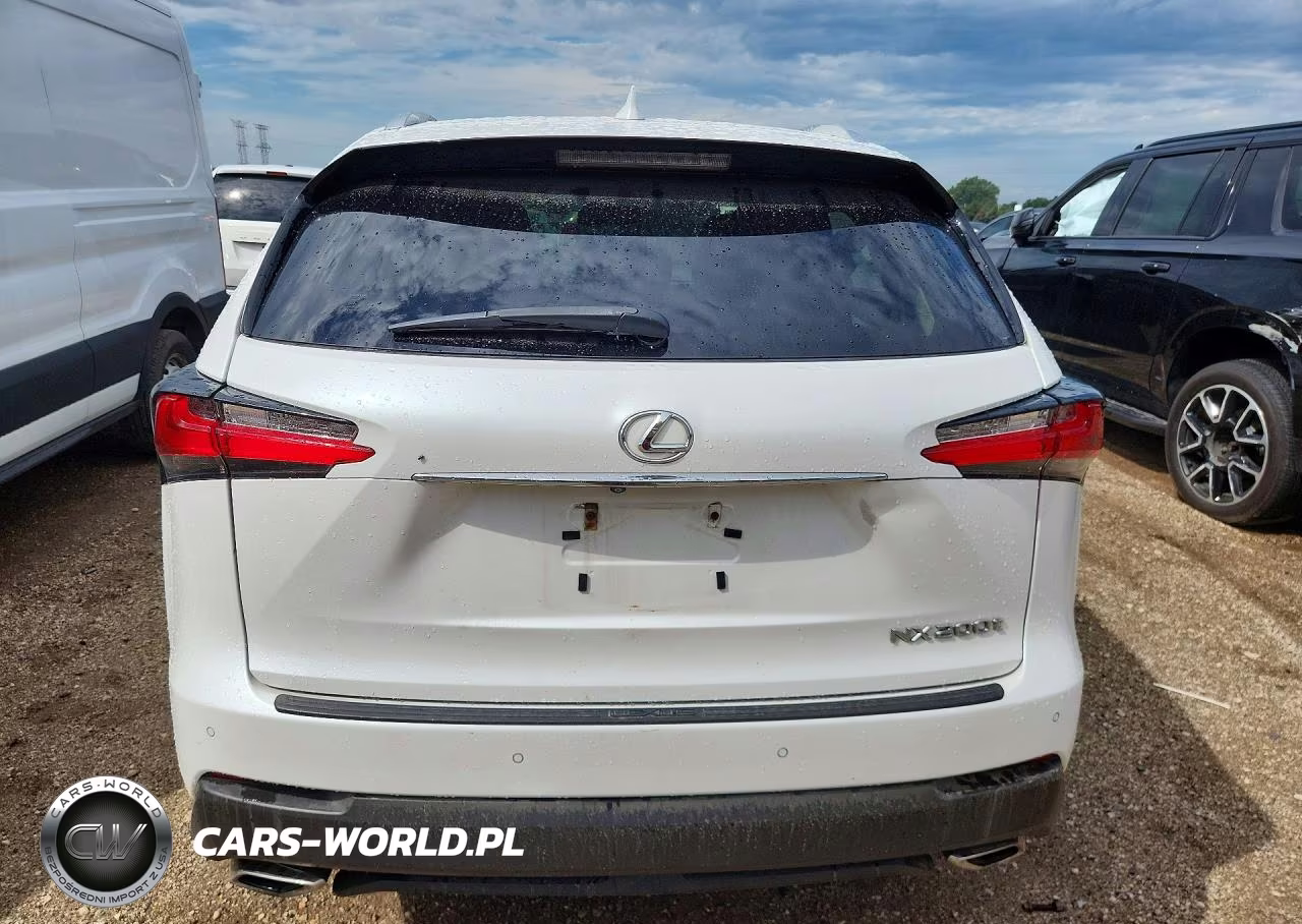 2016 Lexus Nx 200T VIN:JTJBARBZ6G2064822 - 6