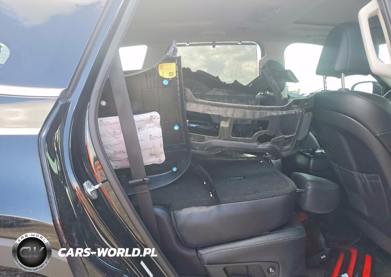 2023 Kia Telluride Sx VIN:5XYP54GC8PG334997 - 10