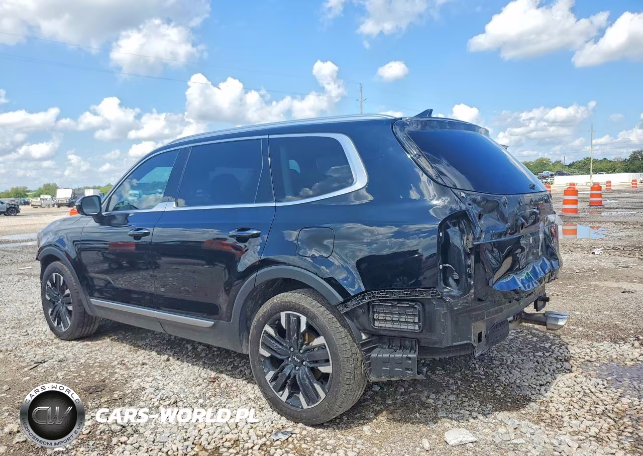 2023 Kia Telluride Sx VIN:5XYP54GC8PG334997 - 2