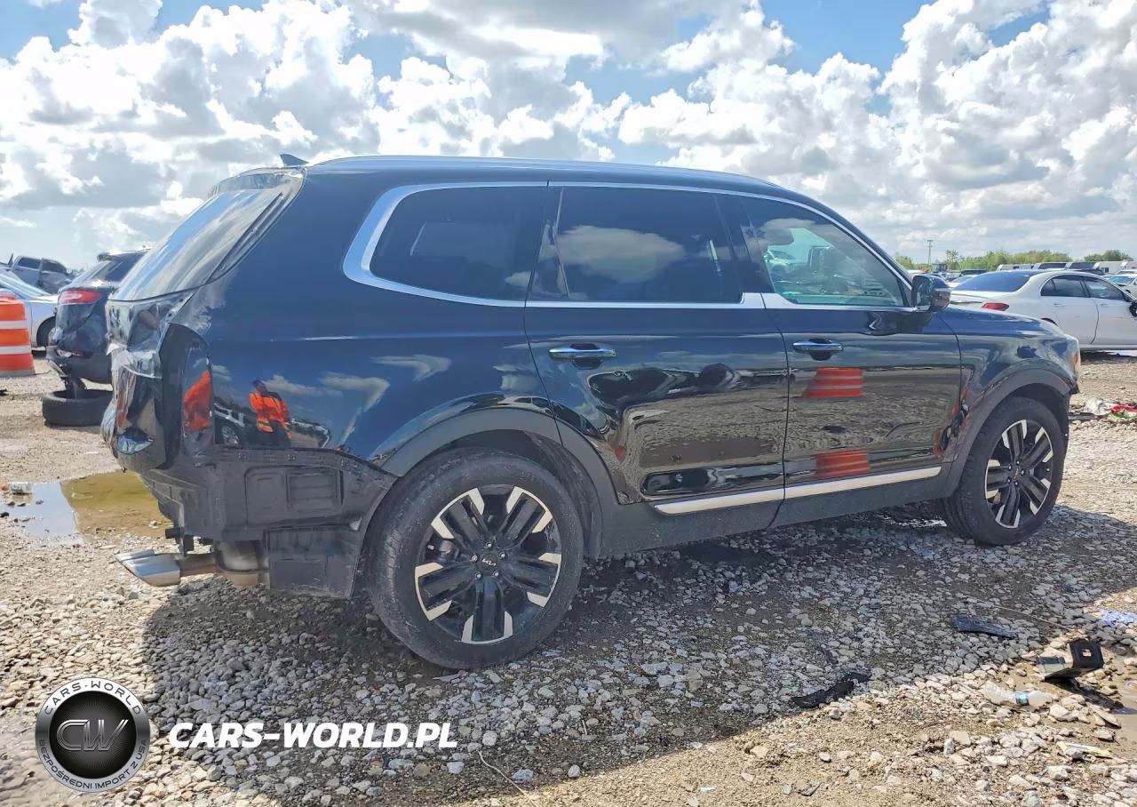 2023 Kia Telluride Sx VIN:5XYP54GC8PG334997 - 3