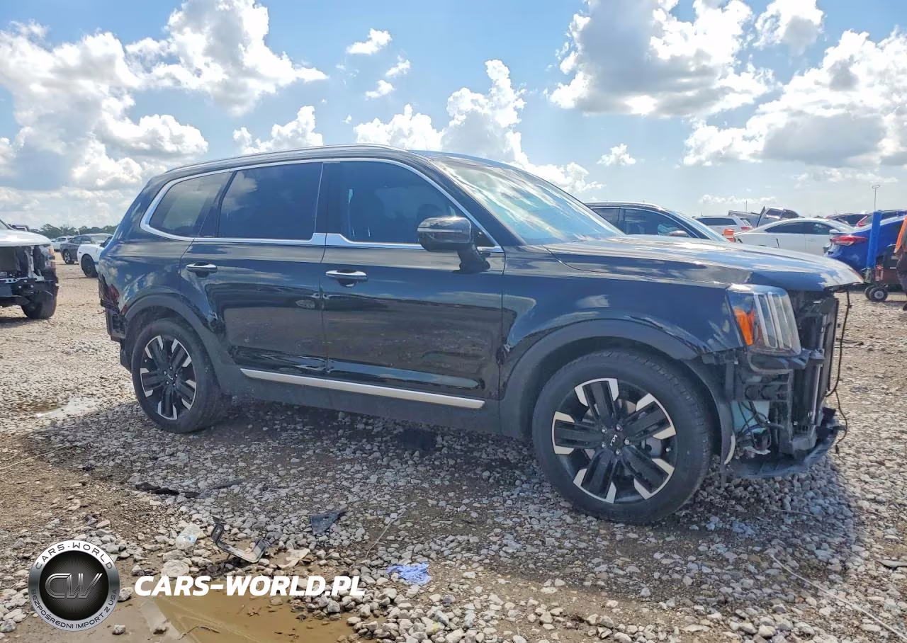 2023 Kia Telluride Sx VIN:5XYP54GC8PG334997 - 4