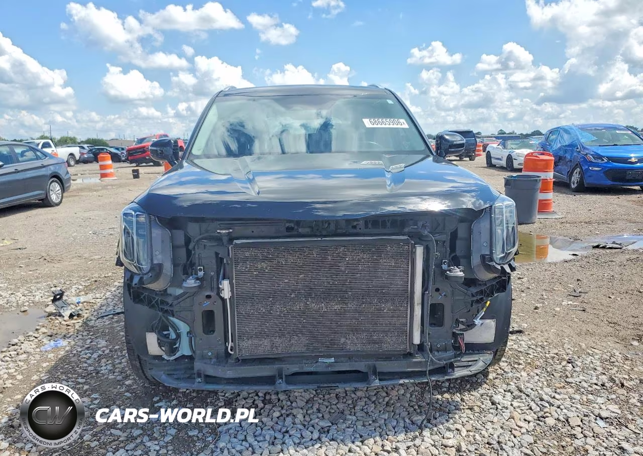 2023 Kia Telluride Sx VIN:5XYP54GC8PG334997 - 5