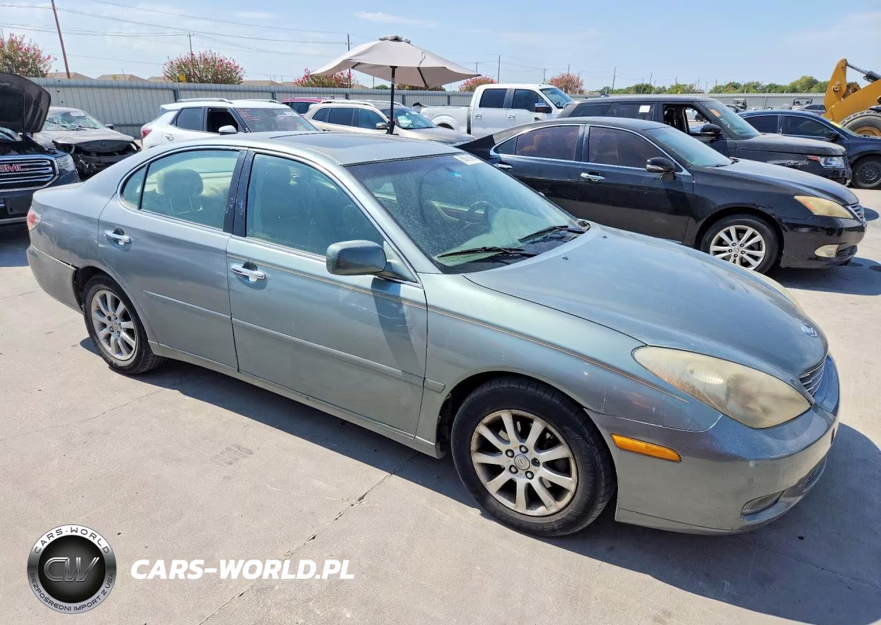 2002 Lexus Es 300 VIN:JTHBF30GX20013281 - 4