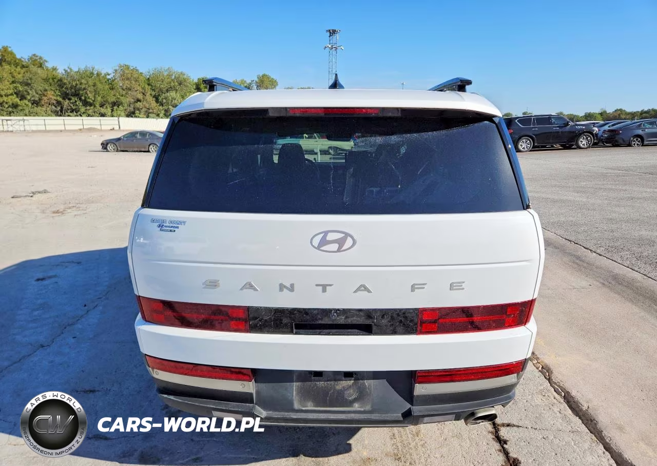 2025 Hyundai Santa Fe Limited VIN:5NMP44GL1SH098419 - 6